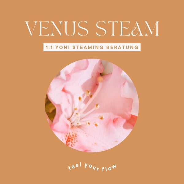 Venus Steaming 1:1